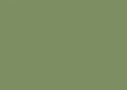 Sueded Bamboo Green